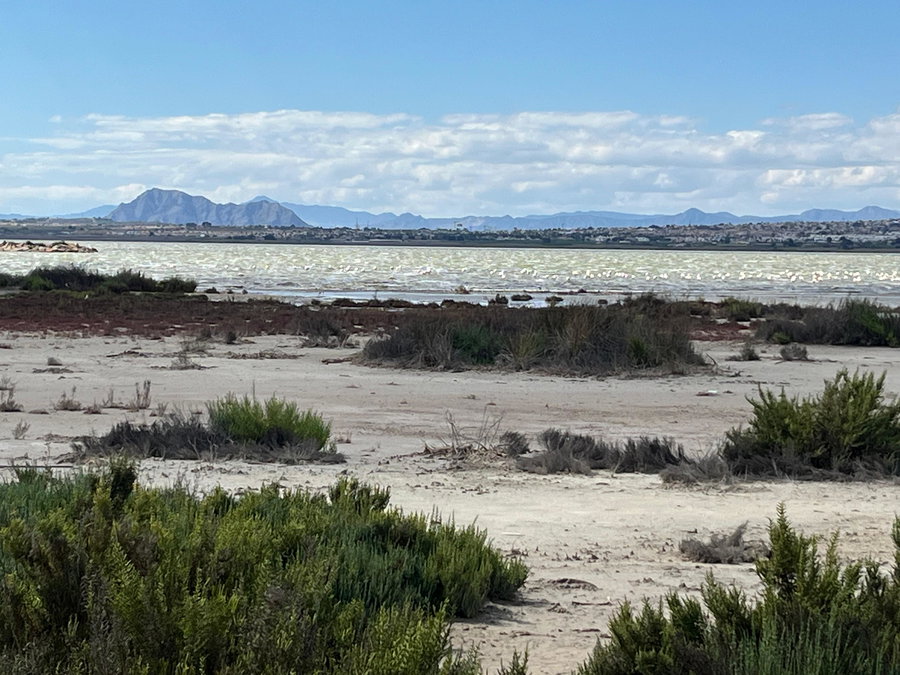 Parque Natural de las Lagunas de la Mata