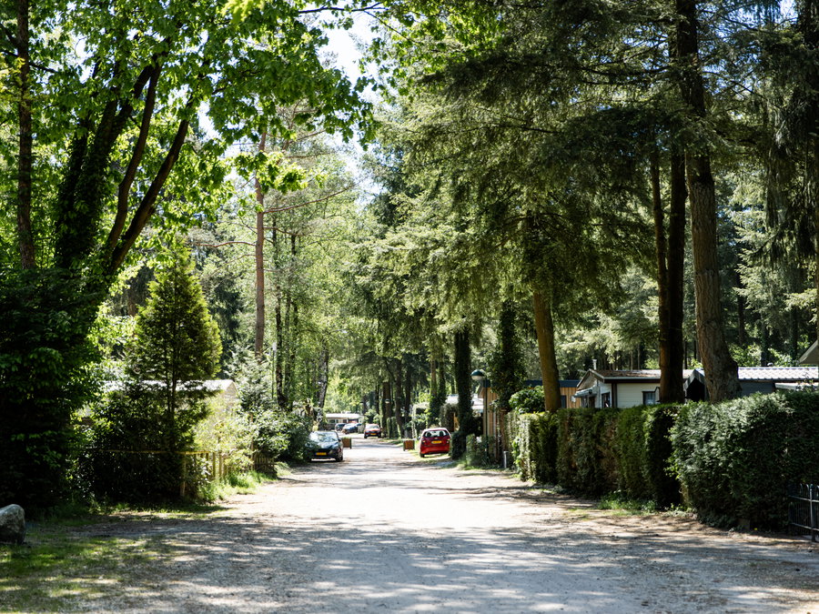 Park 't Veluws Hof - Omgeving