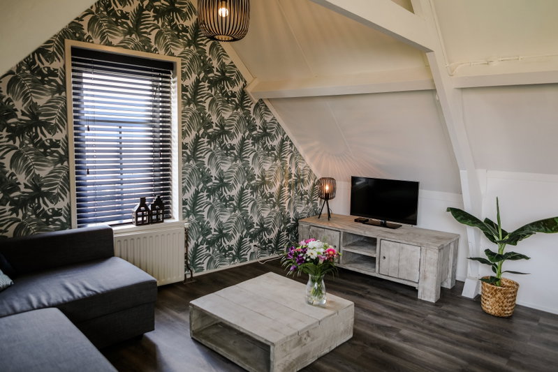 Woonkamer met tv en zit/slaapbank - Woonkamer
