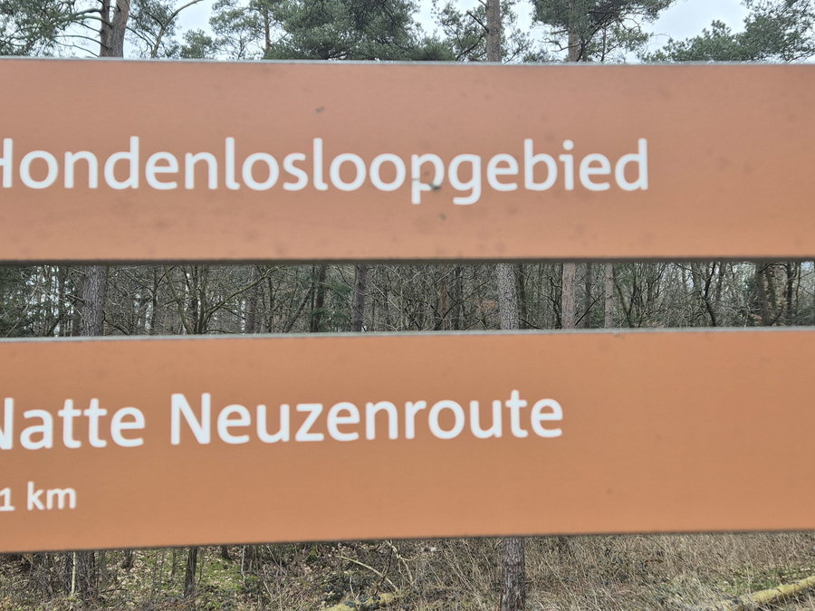 Speciaal voor de viervoeter. De natte Neuzenroute bij losloopgebied 't Leesten - Omgeving
