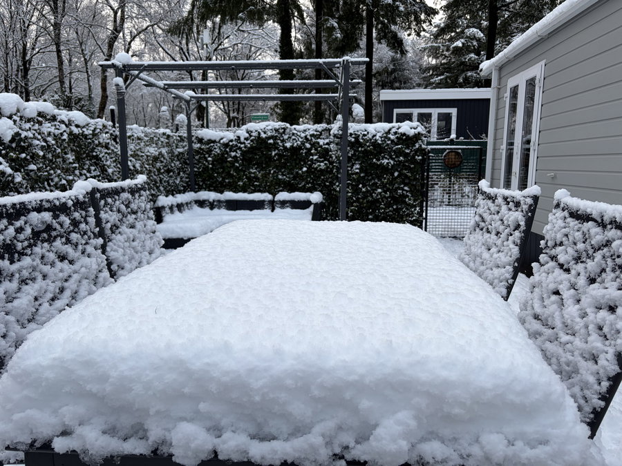 Ook in de winter sfeervol - Tuin