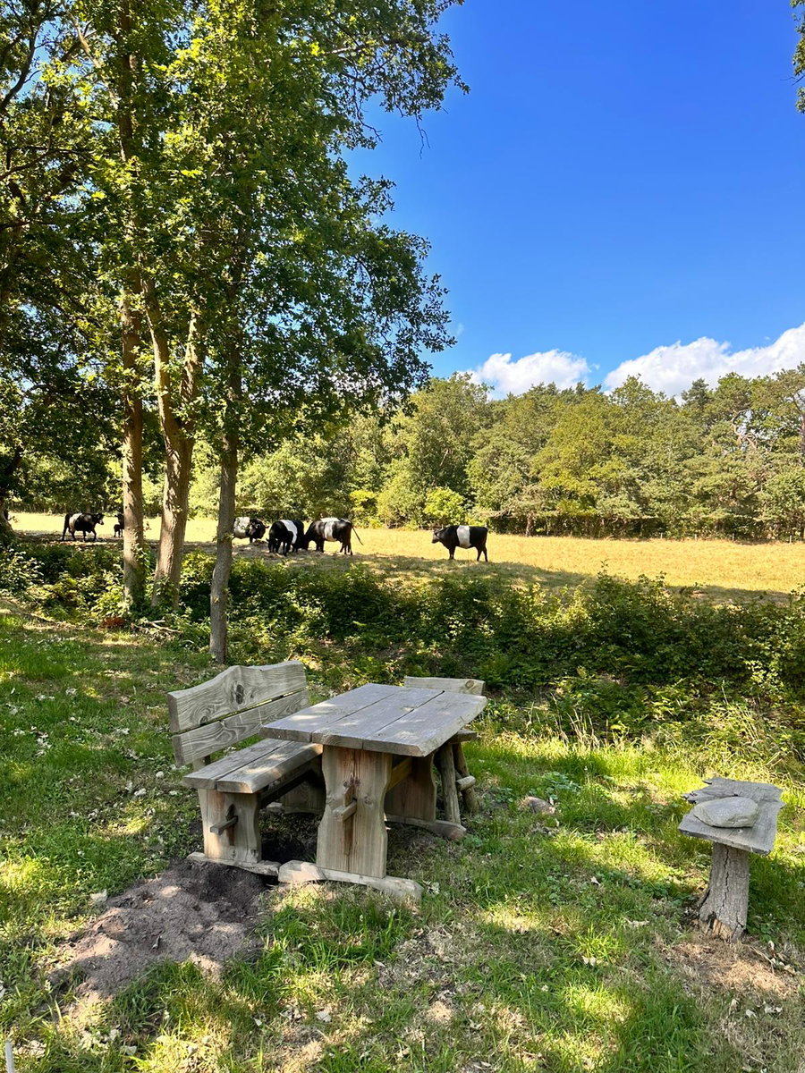 heerlijk picknickplekje tijdens een wandeling in de omgeving