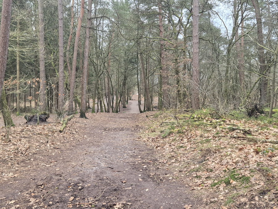 Losloopgebied 't Leesten - Omgeving