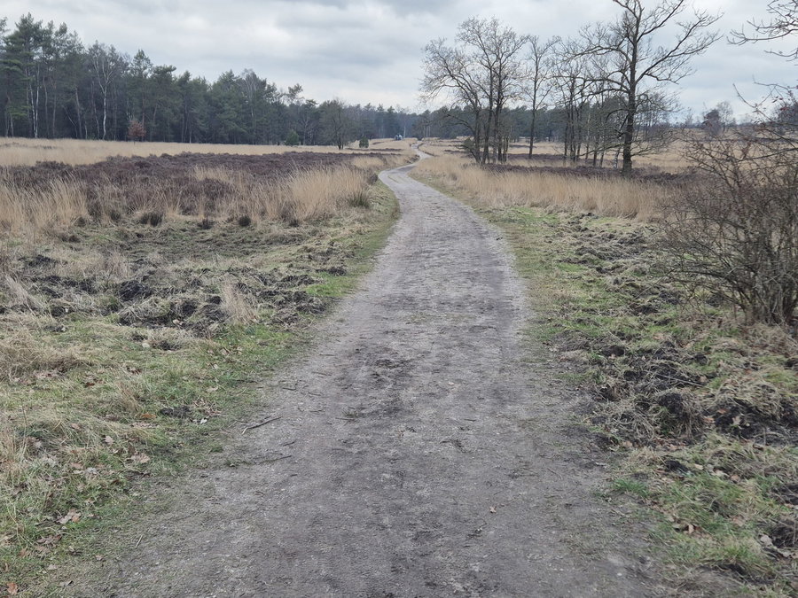 Heerlijk wandelen met de hond direct bij de uitgang van het park - Omgeving