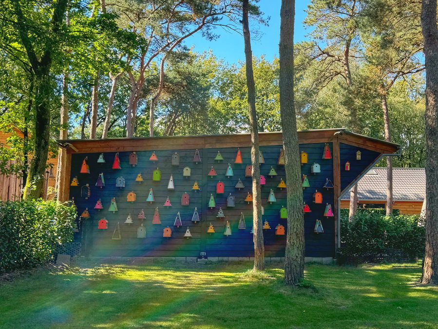Mooie vogelhuisjeswand op de camping