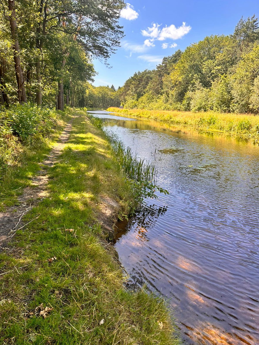 Prachtige wandelroutes direct vanaf de camping. Aftakking van de Hoogeveense vaart
