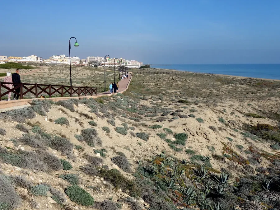 Duinen in La Mata