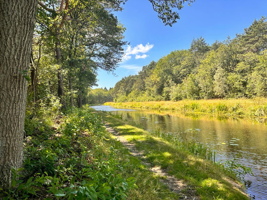 wandel direct vanaf de camping de natuur in