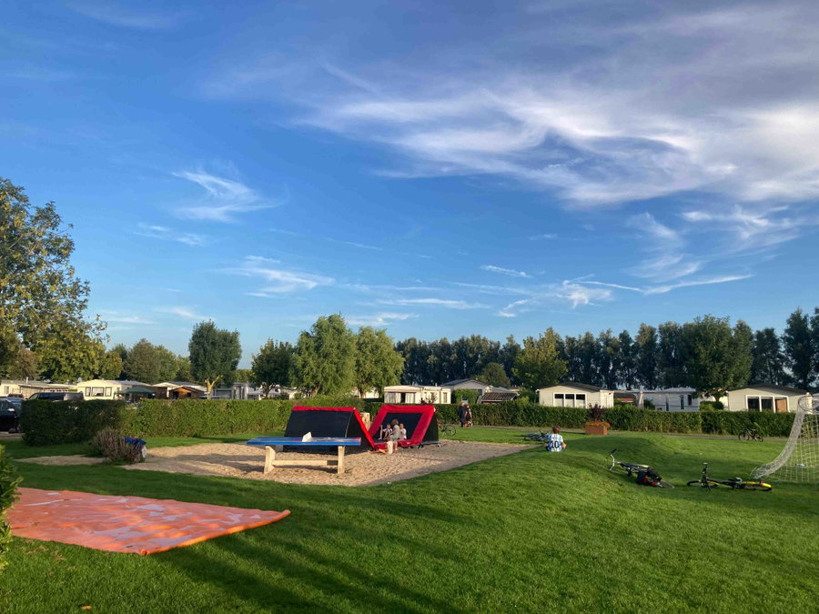 Speelveld