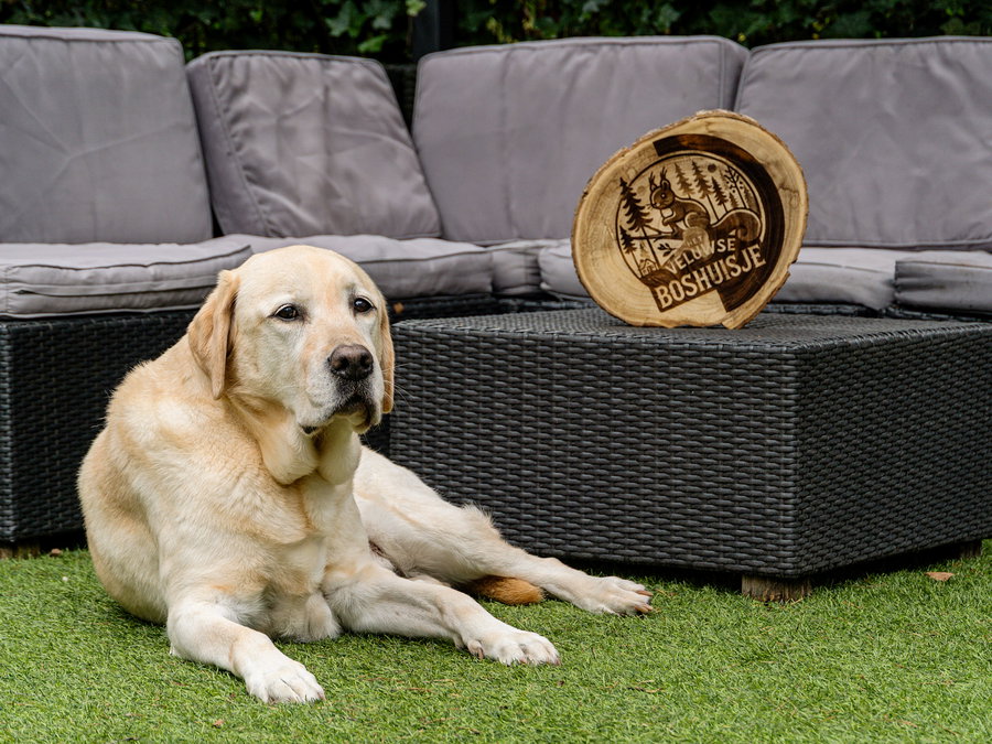 Hondvriendelijk – ook buiten - Tuin