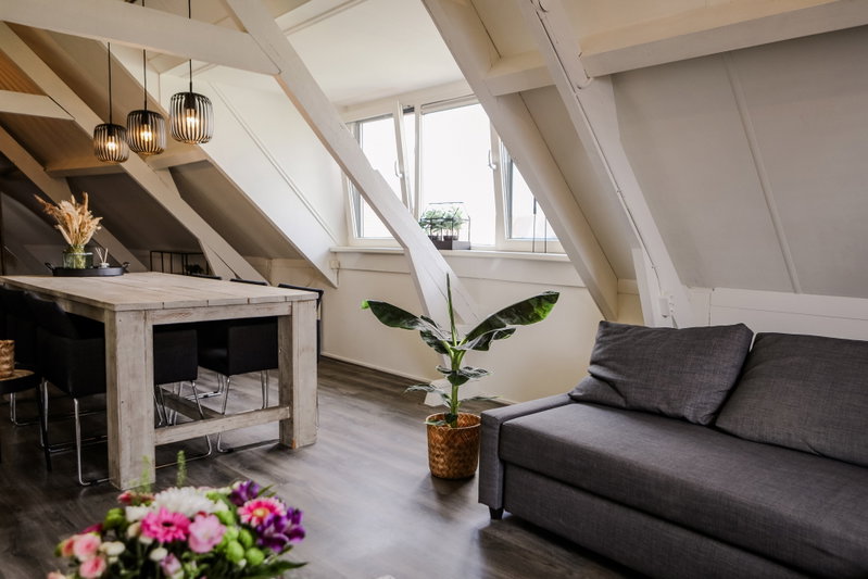 Gezellige loft - Woonkamer