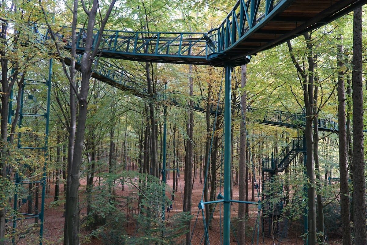 Beleef het Boomkroonpad