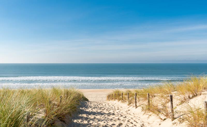 Diversen stranden in de omgeving