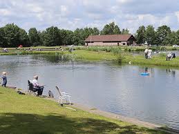 Fishing at Park De IJsvogel