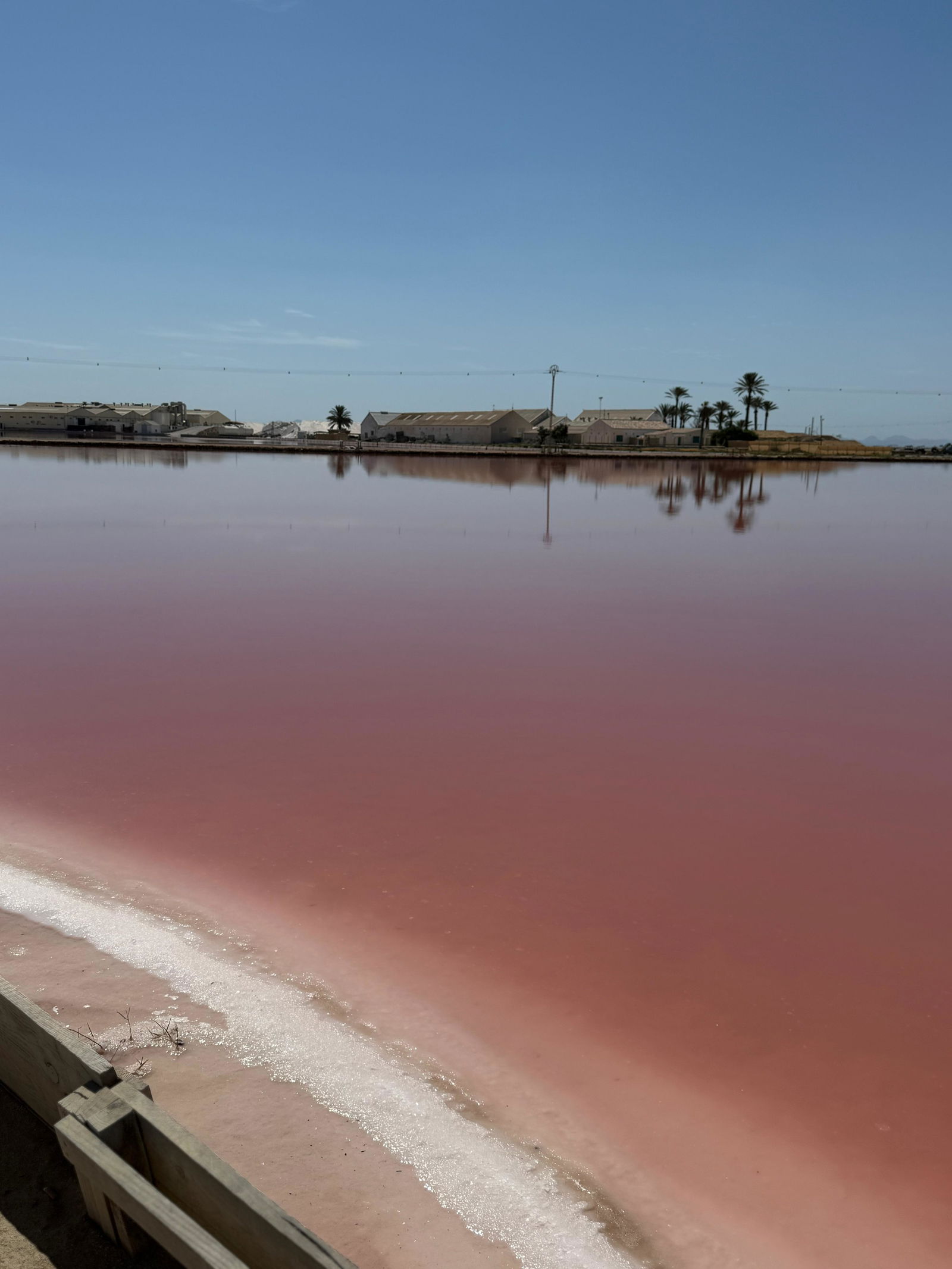 Flamingo’s spotten bij het roze meer