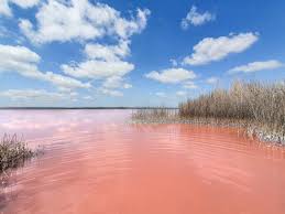 Las Salinas de Torrevieja (Het roze zoutmeer)