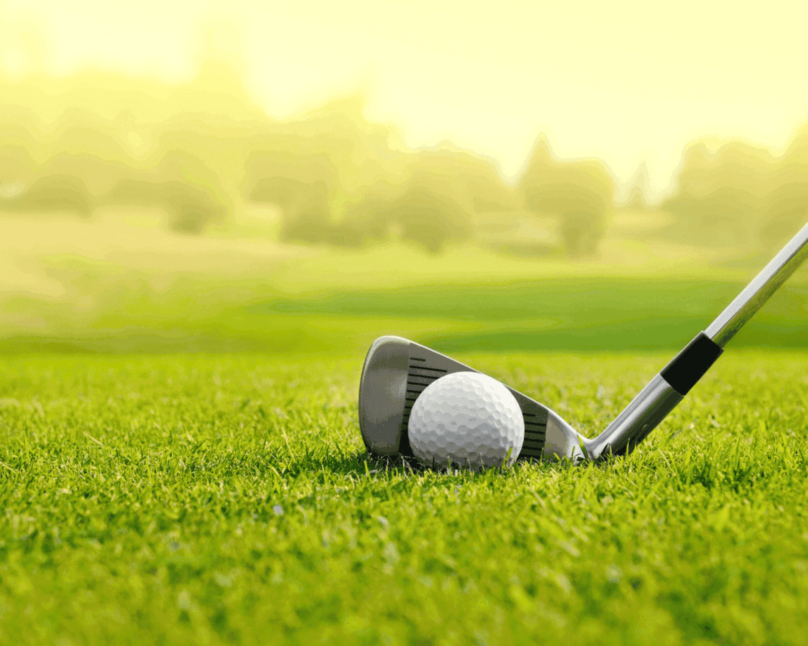 Golfbanen in de buurt