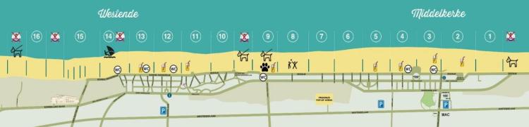 Honden op het strand