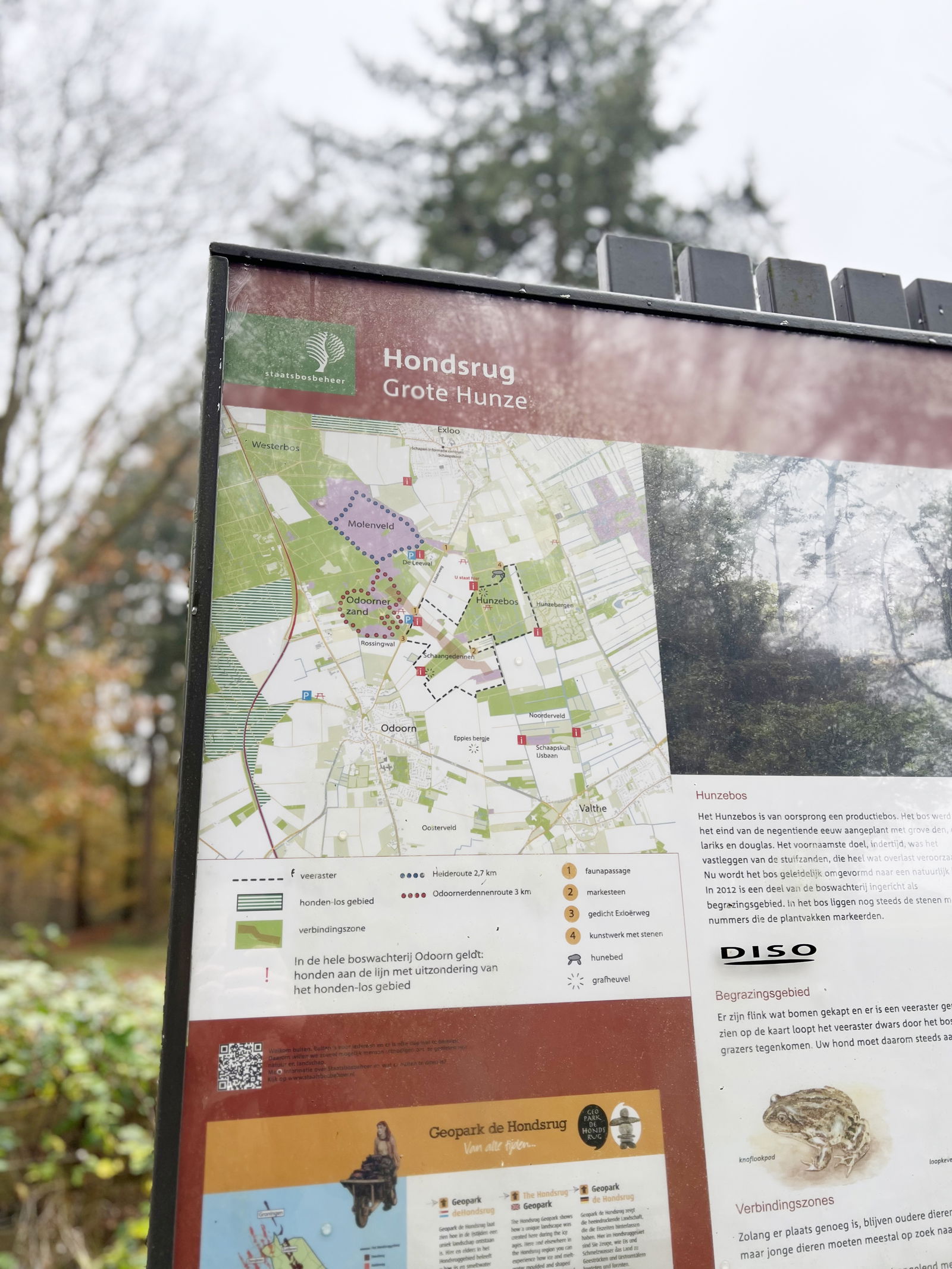Ontdek de Drentse Hondsrug: fiets- en wandelplezier voor het hele gezin