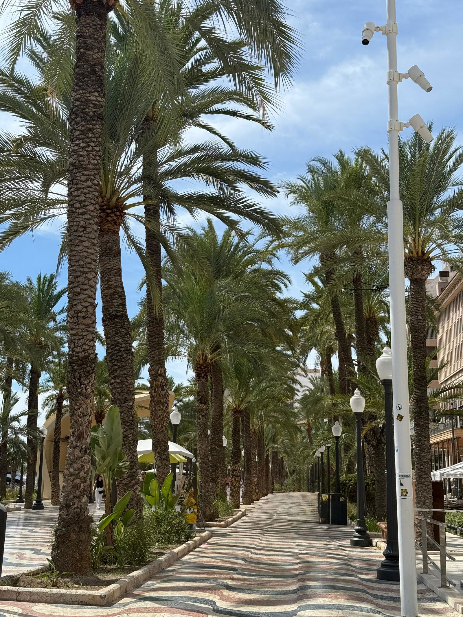 Boulevard van Alicante