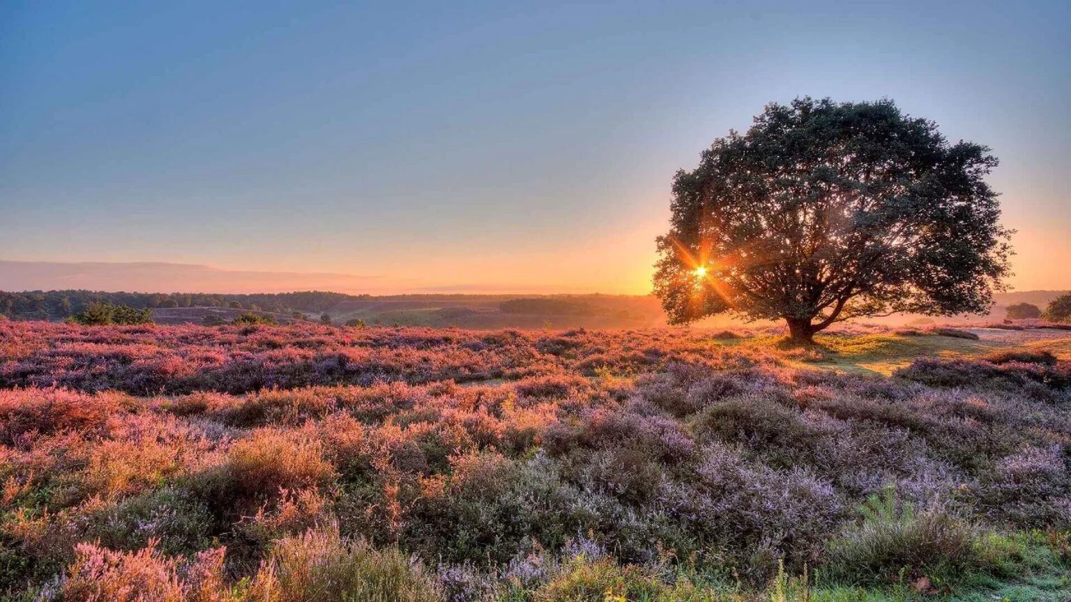 The Most Beautiful Places for Sunset