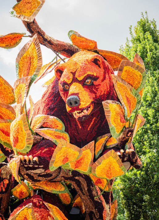 Bloemencorso Sint Jansklooster: Een Betoverende Traditie