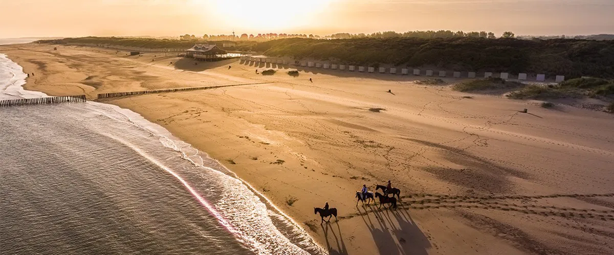 Strandleven in Zeeland
