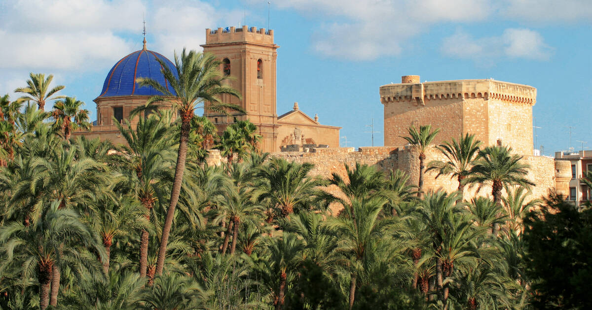 Palmeral de Elche