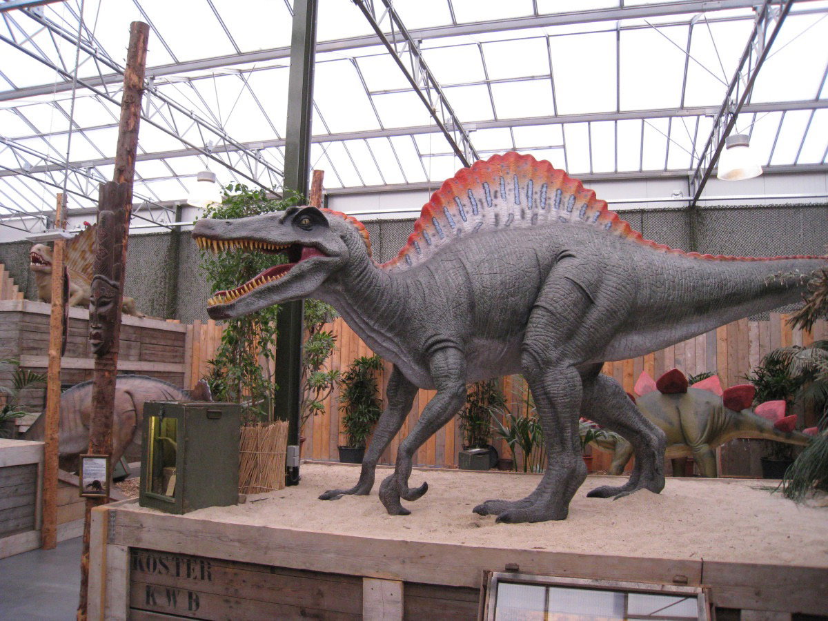 Dino Expo