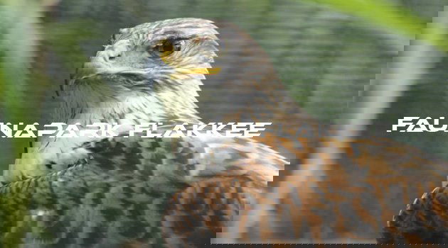 Faunapark dierentuin