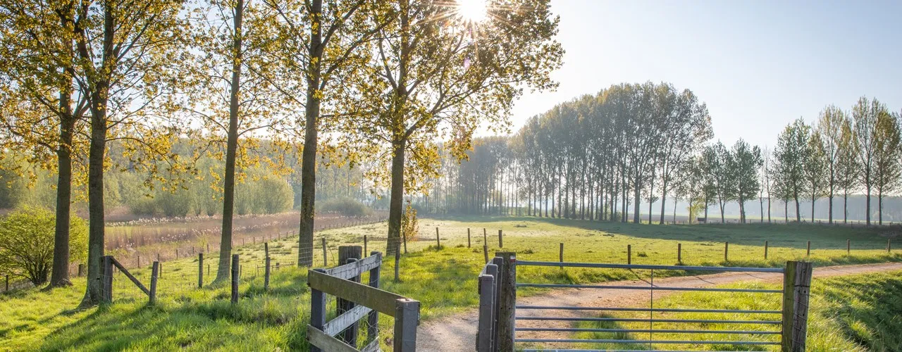 Wandelingen in de buurt