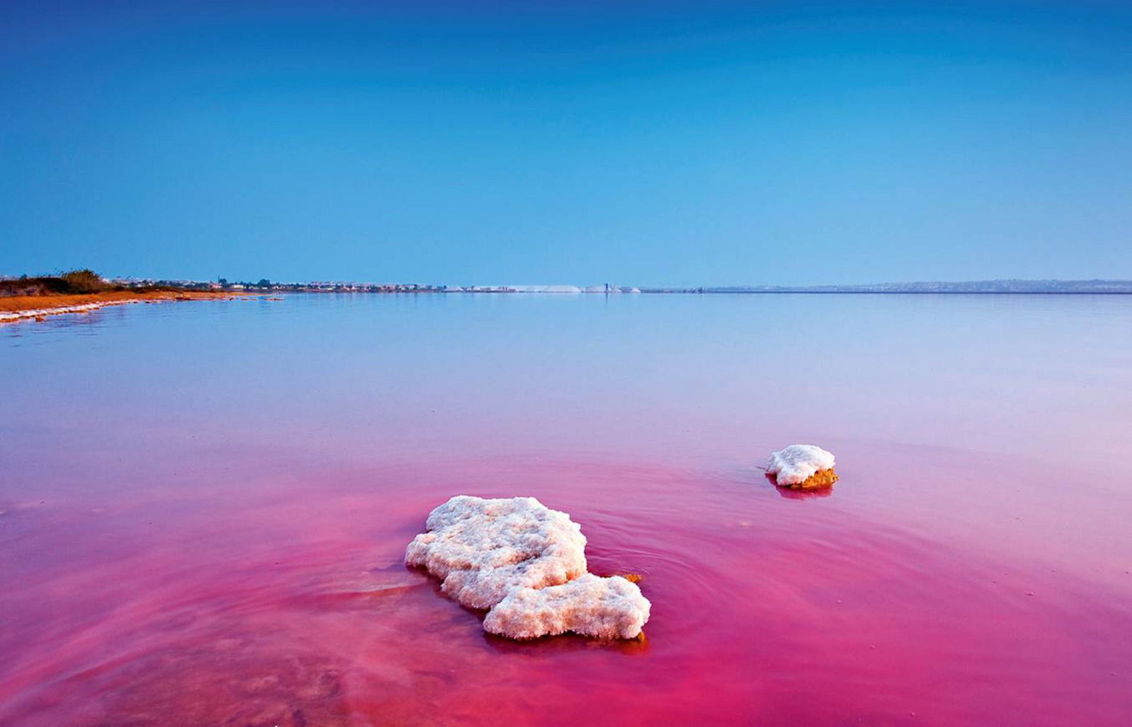 Salinas de Torrevieja