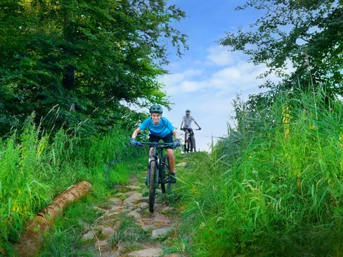 Grote Kabouterbos / MTB-route Roggebotzand Dronten