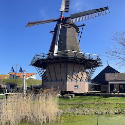 Cultuur op Texel