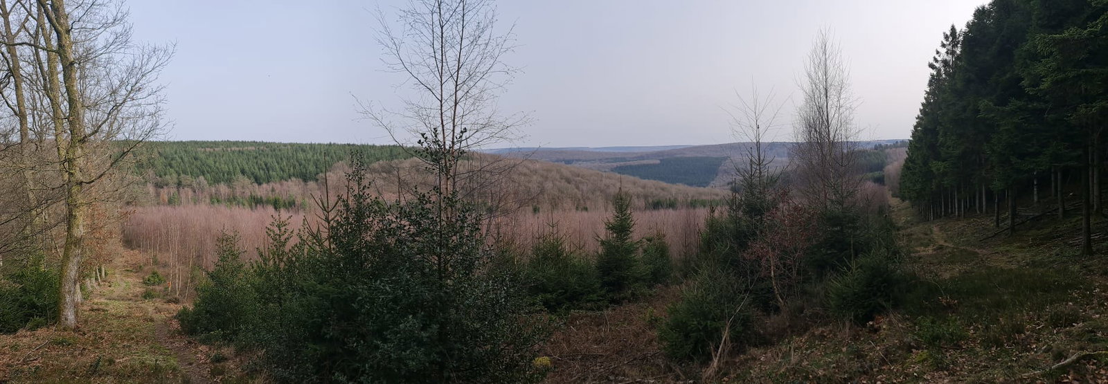 Domaine des Nobertins