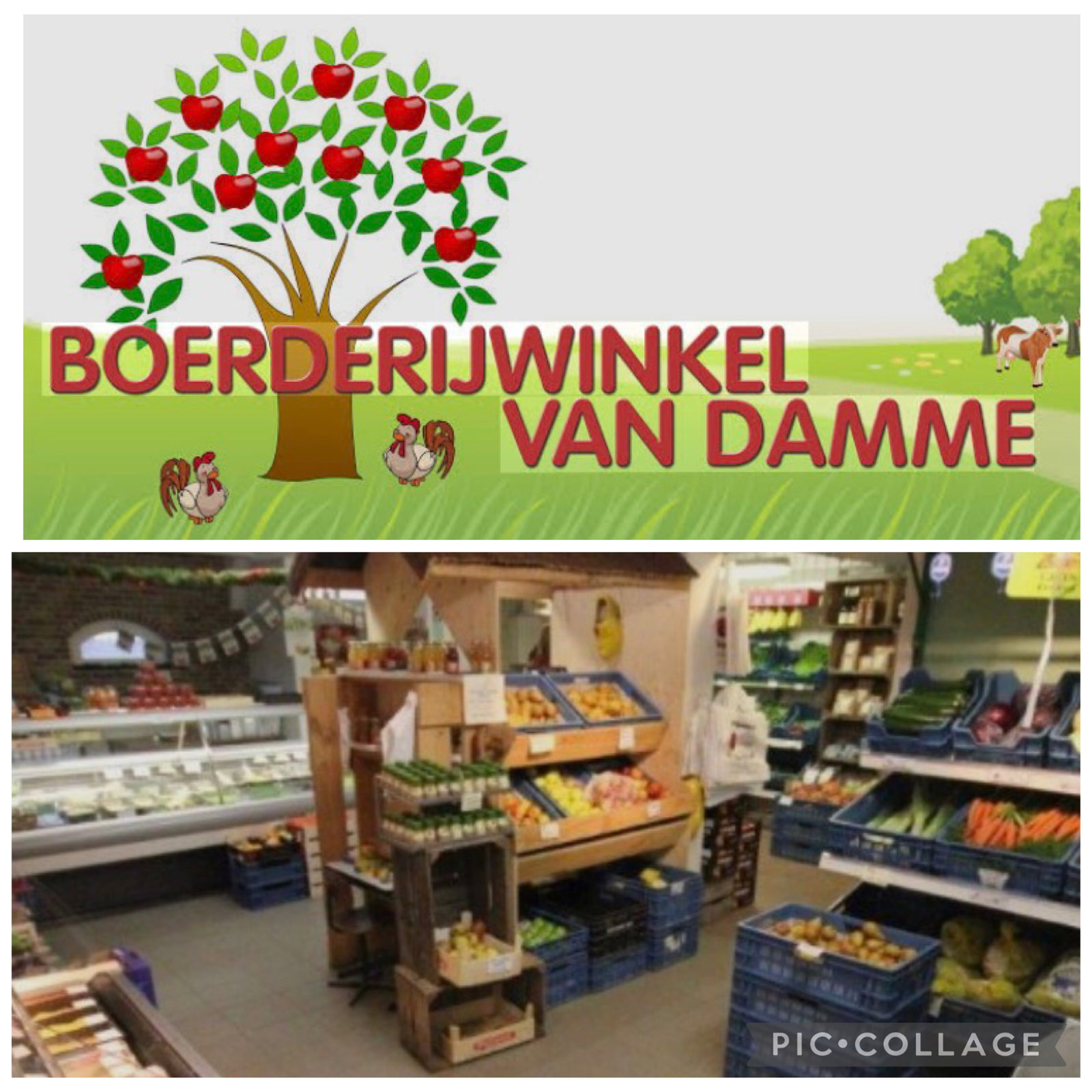 Boerderij winkel van Damme