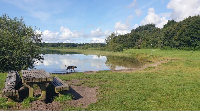 Zwemplezier voor uw lieve viervoeter