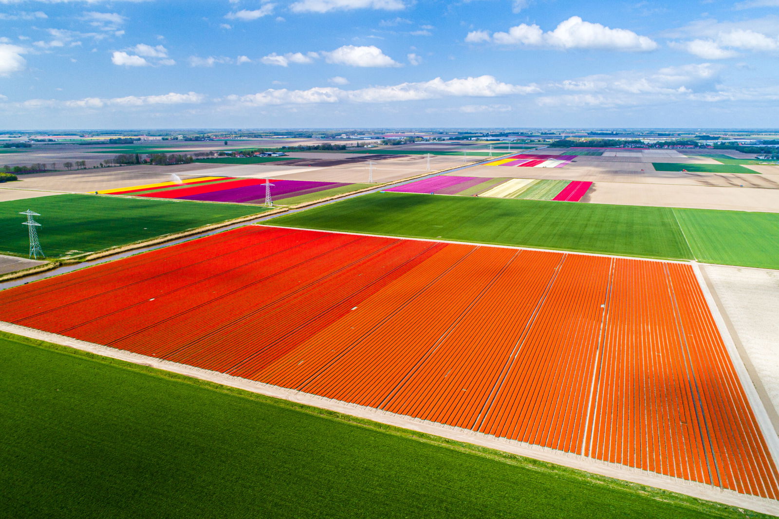 Tulpenroute Noordoostpolder: Ontdek een Kleurrijk Lenteavontuur