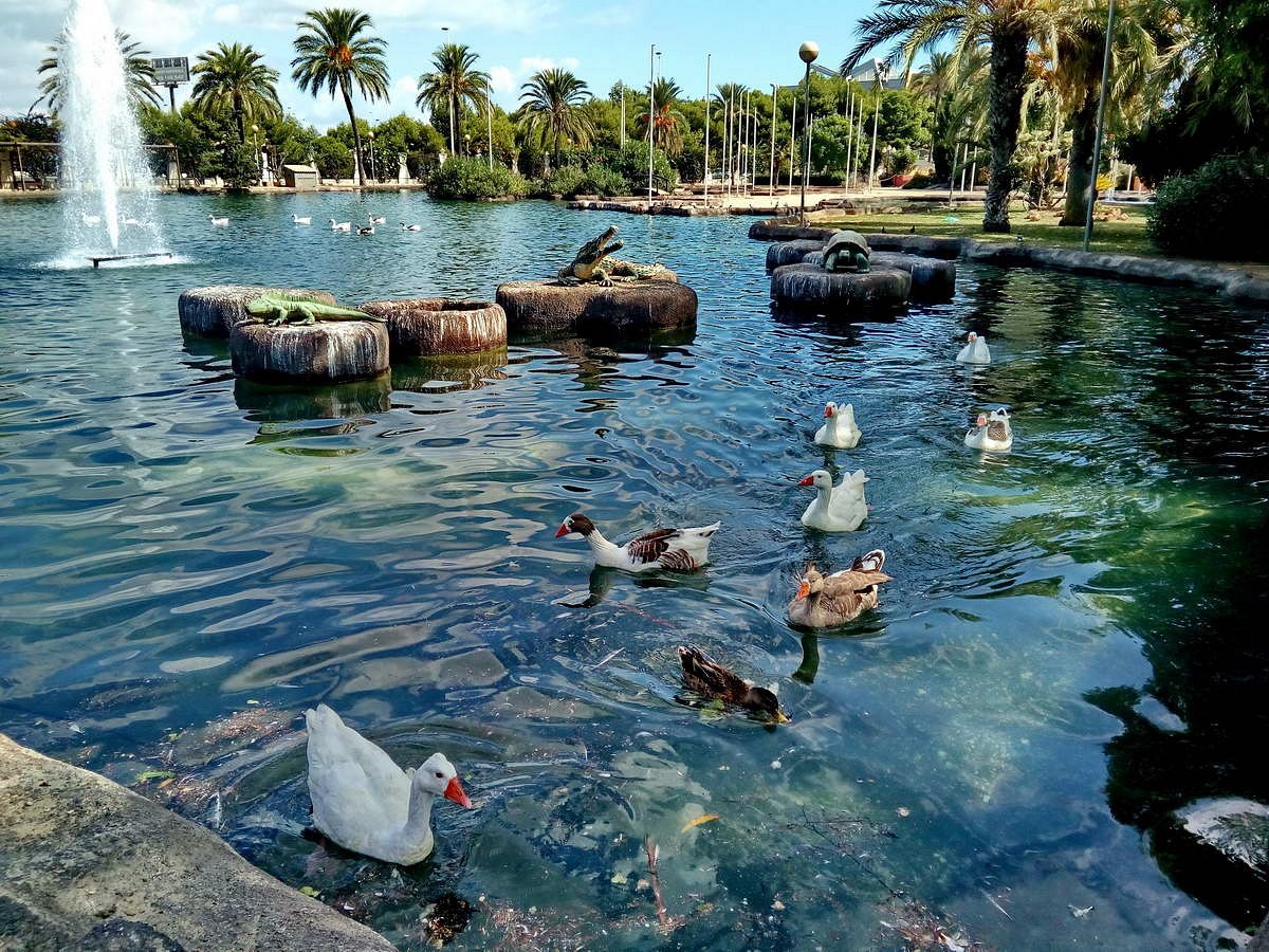 De Leukste Bezienswaardigheden van Torrevieja