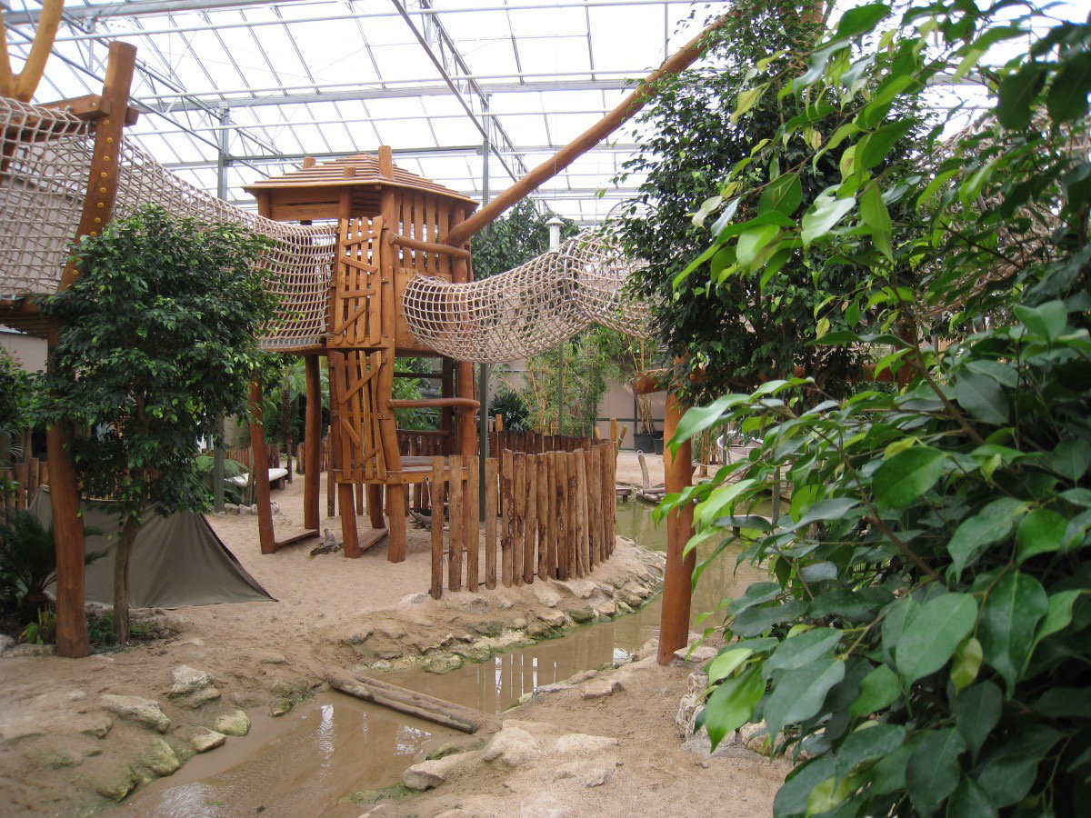 Kids Jungle