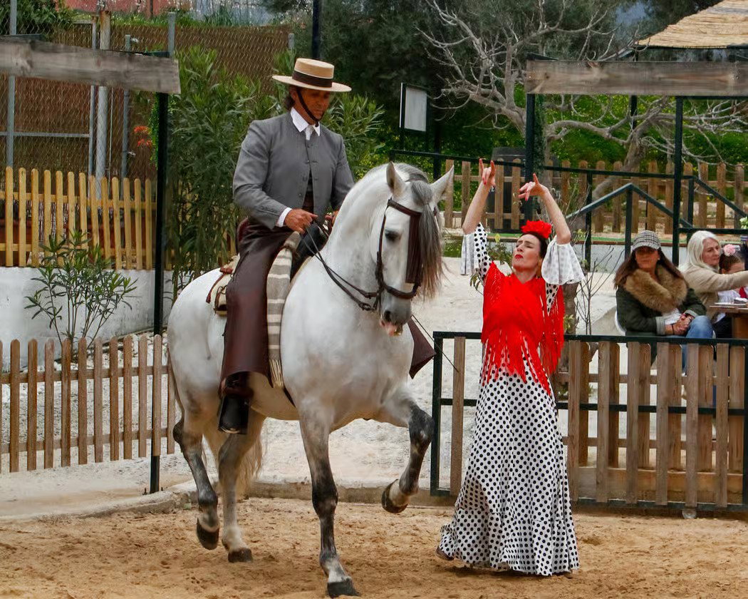 Spaanse paardenshow met flamenco en een heerlijk diner