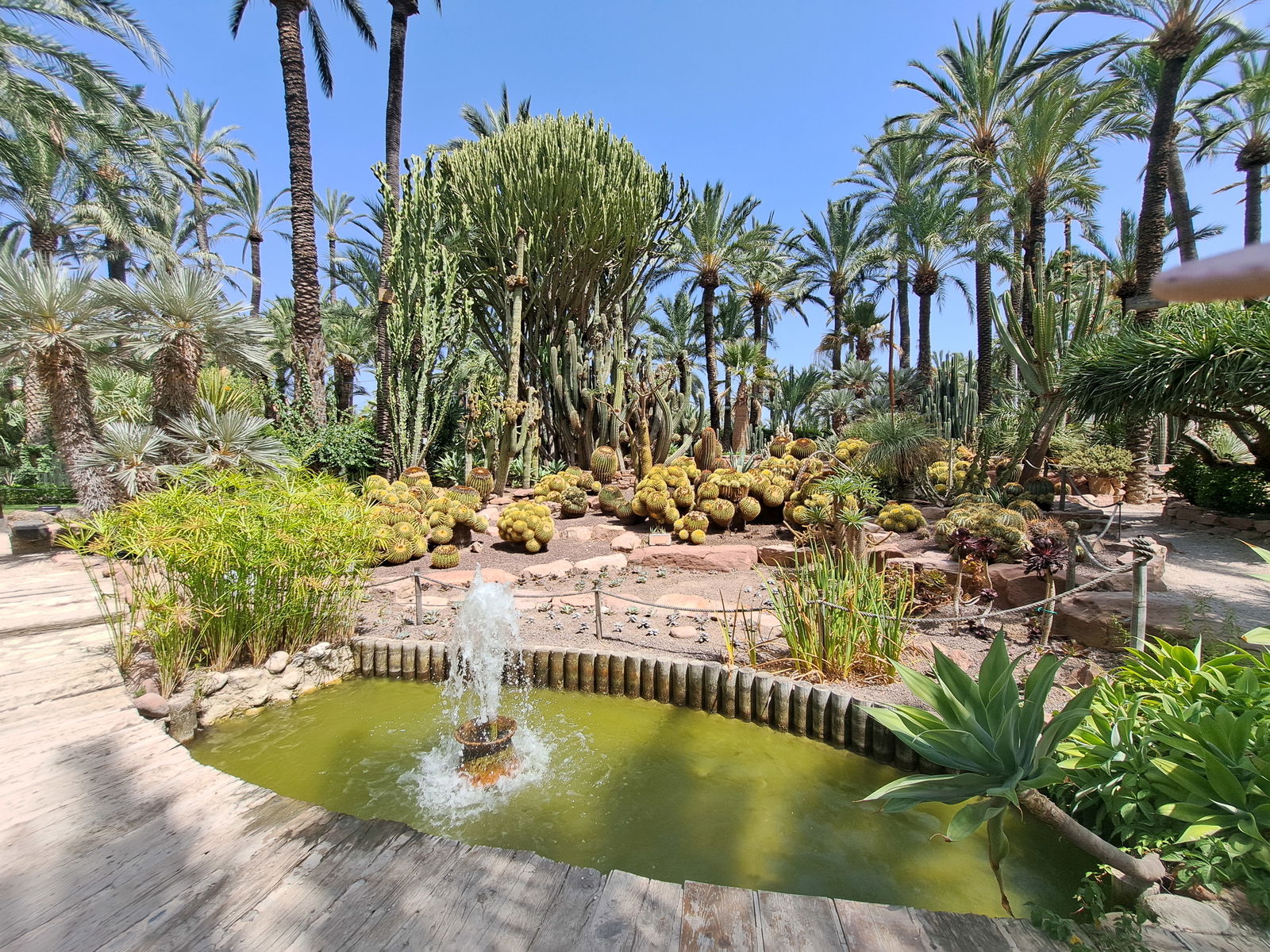 huerto del Cura in Elche