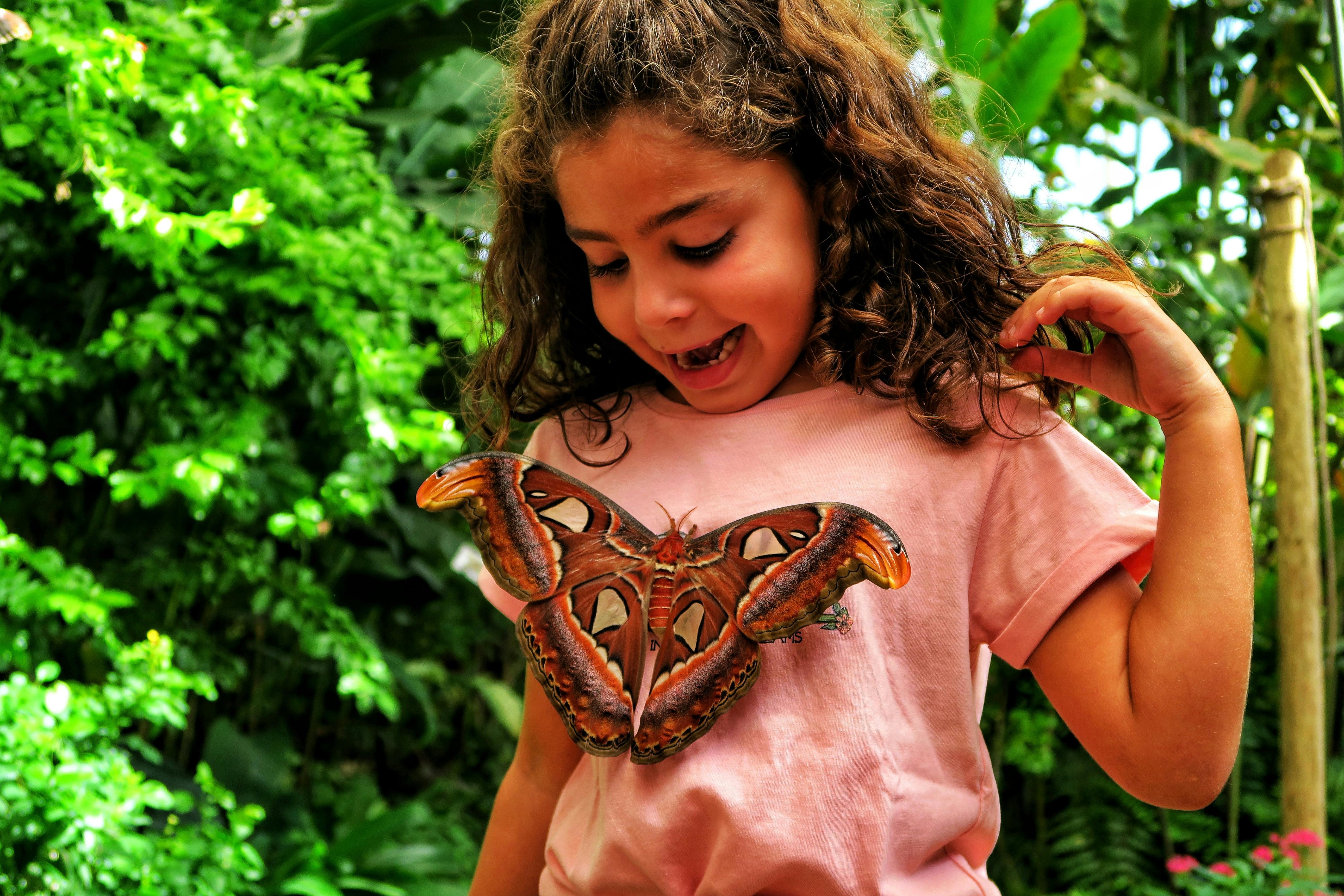 Butterfly Park – Benalmádena