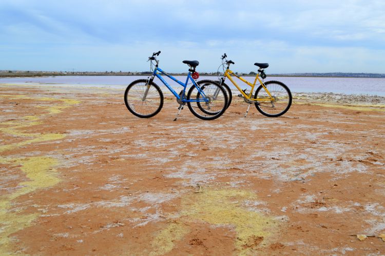 Fietsen langs de kust