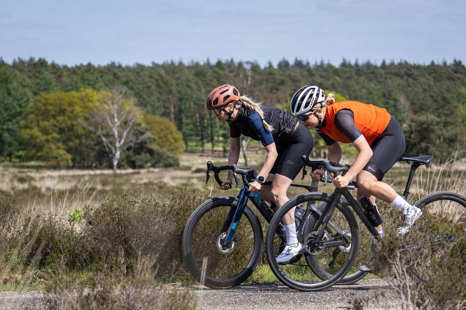 Cycling on the Veluwe