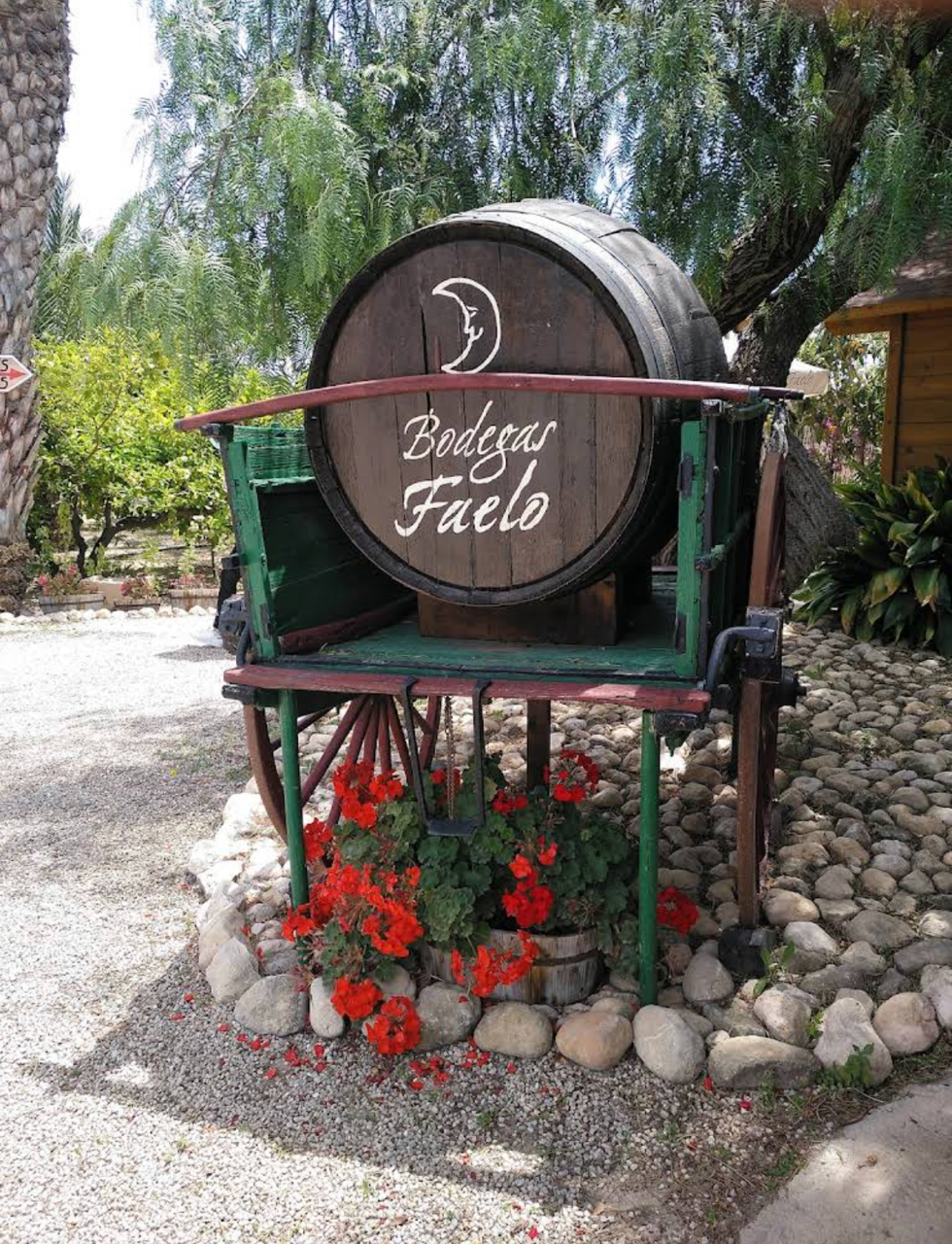 Wijnproverij - Bordegas Faelo - Elche