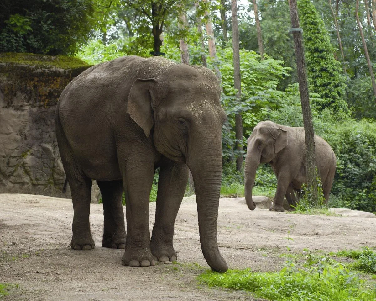 Burgers' Zoo