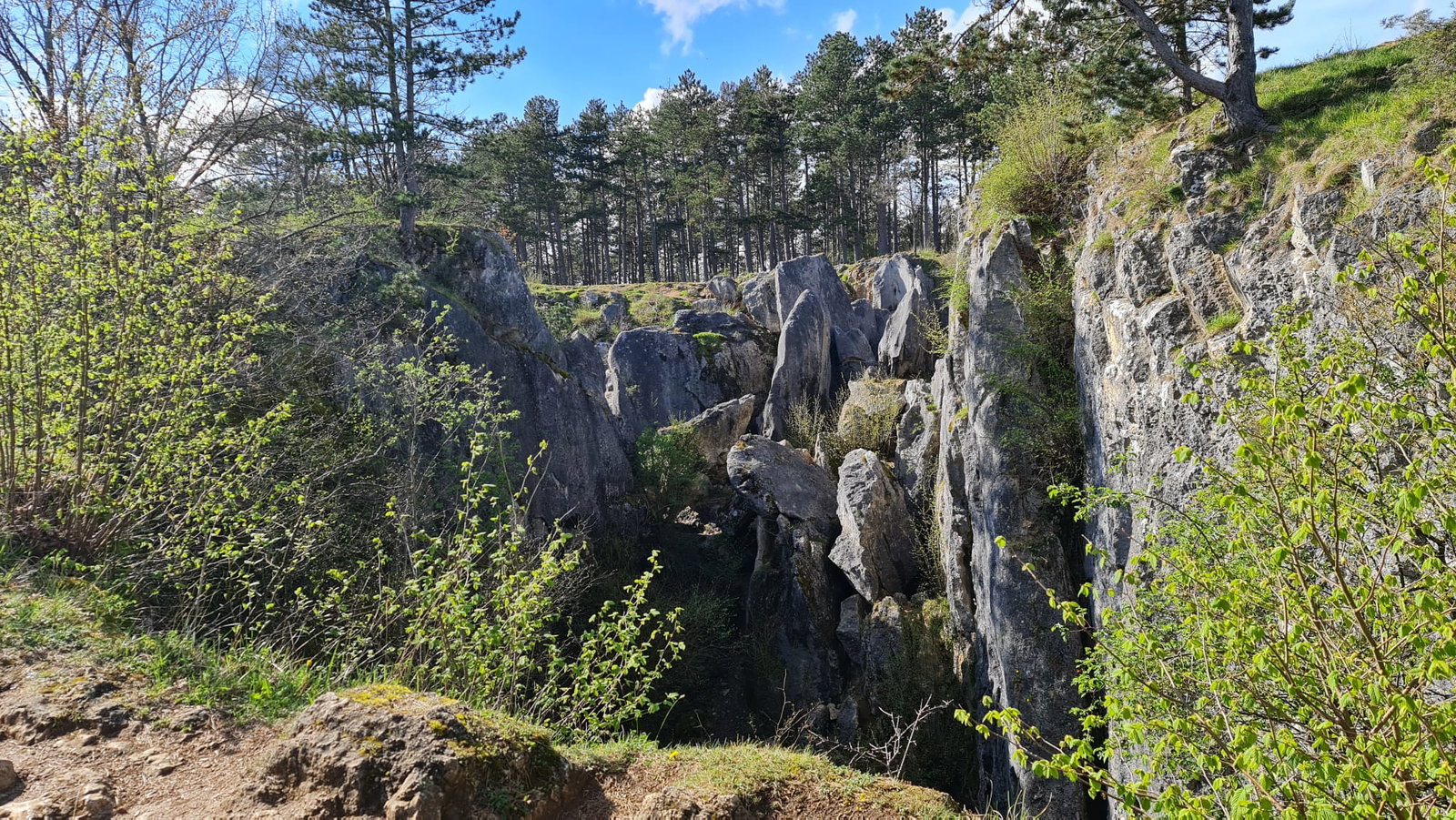 Fondry des Chiens in Nismes