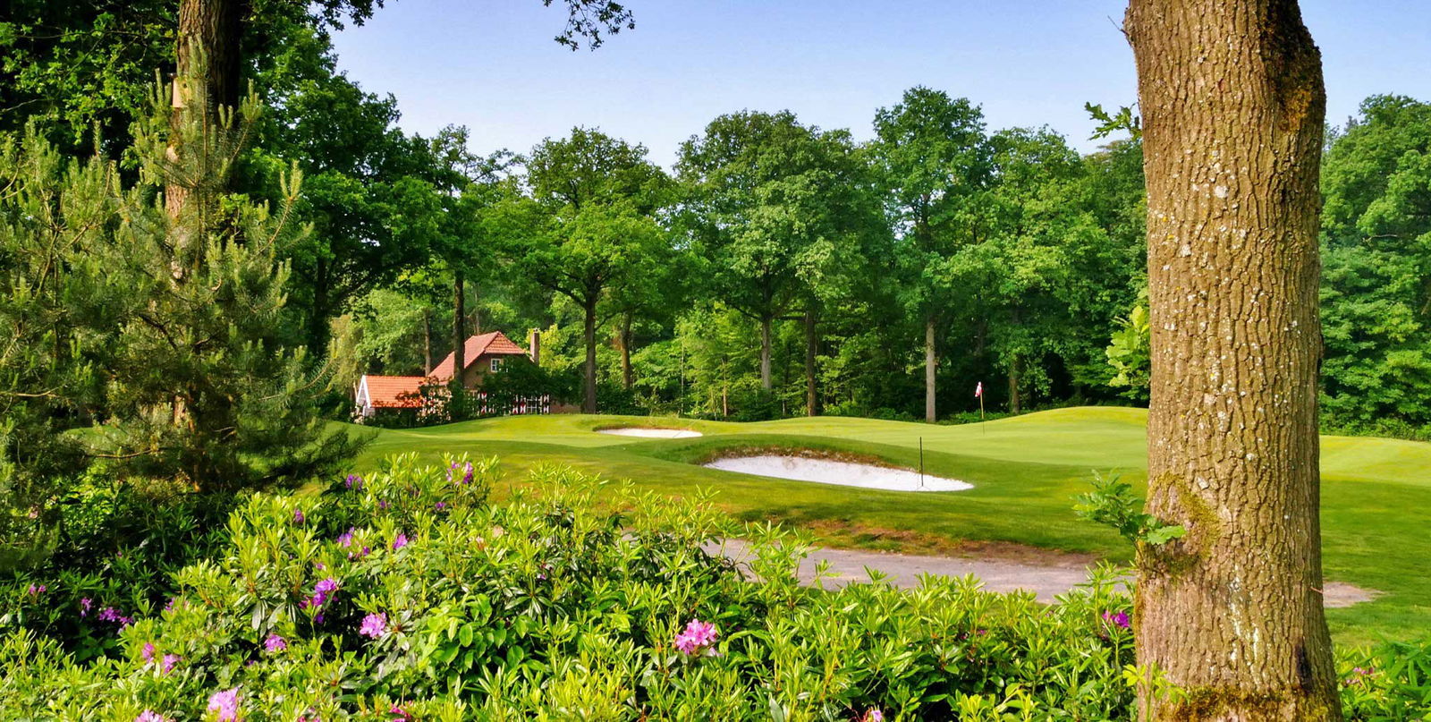 Uitjes in de omgeving