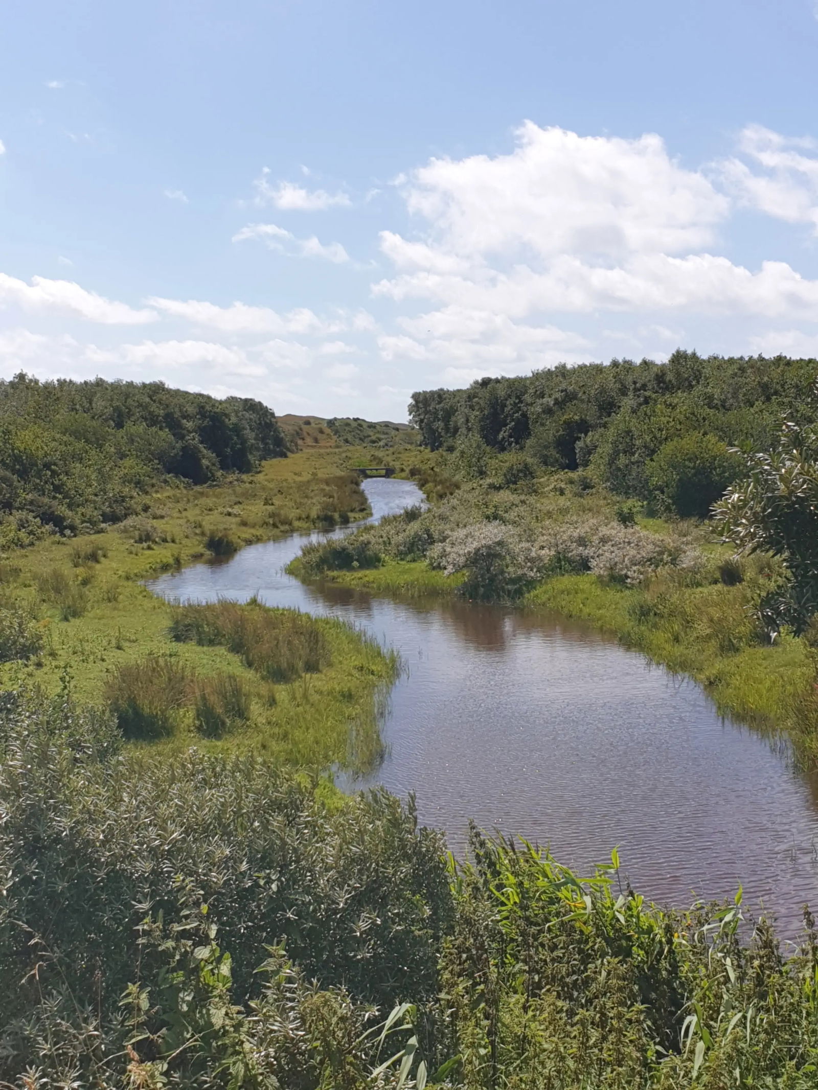 Natuur op Texel